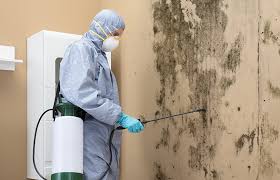 Mold Remediation for Rental Properties in Hercules, CA